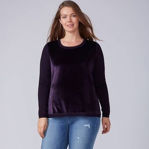 Lane Bryant Velvet Front Sweater